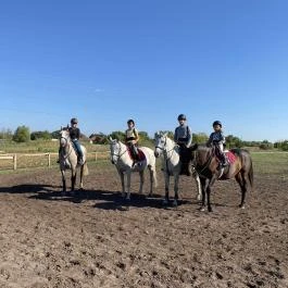 Berkenye Lovasudvar Mórahalom - Egyéb