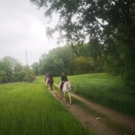 Berkenye Lovasudvar Mórahalom - Egyéb