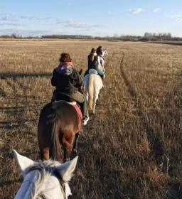 2. legjobb látnivaló: Berkenye Lovasudvar 