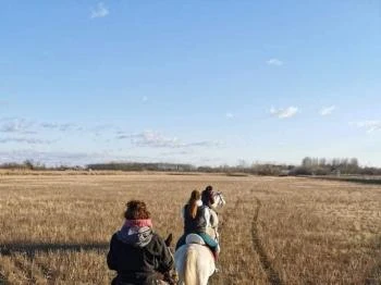 Berkenye Lovasudvar Mórahalom