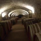 Angyal Borászat Rátka - Egyéb