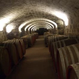 Angyal Borászat, Rátka - Egyéb