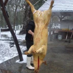 Fenyőharaszt Kastélyszálló Verseg - Medence/kert