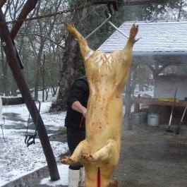 Fenyőharaszt Kastélyszálló Verseg - Medence/kert