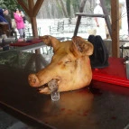 Fenyőharaszt Kastélyszálló Verseg - Vendéglátás