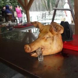 Fenyőharaszt Kastélyszálló Verseg - Vendéglátás