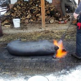 Fenyőharaszt Kastélyszálló Verseg - Egyéb