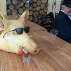 Fenyőharaszt Kastélyszálló Verseg - Egyéb