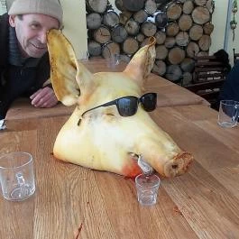 Fenyőharaszt Kastélyszálló Verseg - Egyéb