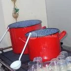 Fenyőharaszt Kastélyszálló Verseg - Vendéglátás