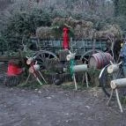 Fenyőharaszt Kastélyszálló Verseg - Egyéb