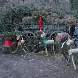 Fenyőharaszt Kastélyszálló Verseg - Egyéb