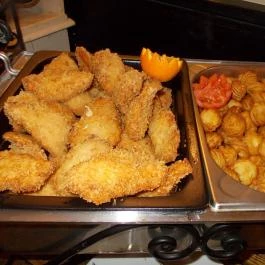 Fenyőharaszt Kastélyszálló Verseg - Vendéglátás