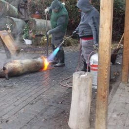 Fenyőharaszt Kastélyszálló Verseg - Egyéb