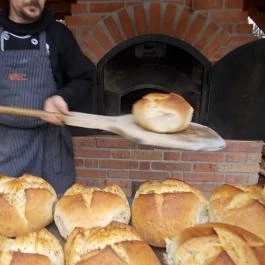 Fenyőharaszt Kastélyszálló Verseg - Vendéglátás