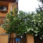 Gabriella Vendégház Szilvásvárad - Medence/kert