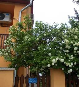 Gabriella Vendégház