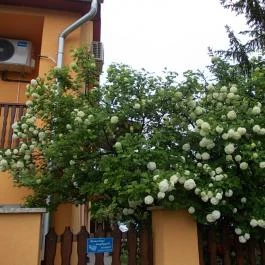 Gabriella Vendégház Szilvásvárad - Medence/kert