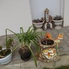 Gabriella Vendégház Szilvásvárad - Egyéb