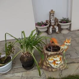 Gabriella Vendégház Szilvásvárad - Egyéb