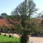 Gyulai Almásy-kastély Látogatóközpont Gyula - Egyéb