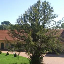 Gyulai Almásy-kastély Látogatóközpont Gyula - Egyéb