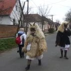 Mohácsi busójárás Mohács - Egyéb