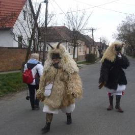 Mohácsi busójárás Mohács - Egyéb