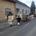 Mohácsi busójárás Mohács - Egyéb