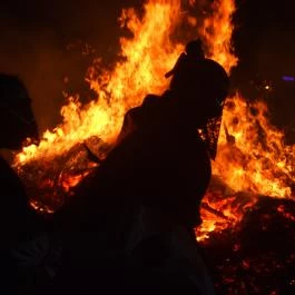 Mohácsi busójárás Mohács - Egyéb