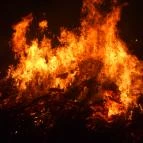 Mohácsi busójárás Mohács - Egyéb