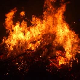 Mohácsi busójárás Mohács - Egyéb