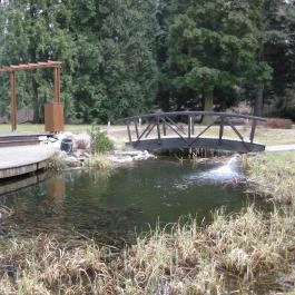 Hotel Fagus Sopron - Környék