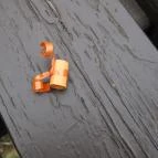 Hotel Fagus Sopron - Egyéb