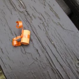 Hotel Fagus Sopron - Egyéb