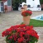 Duna Relax & Event Hotel Ráckeve - Medence/kert