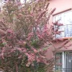 Duna Relax & Event Hotel Ráckeve - Külső kép