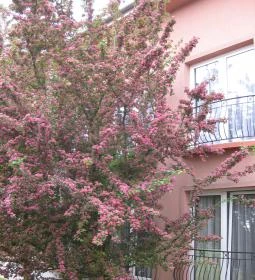 Duna Relax & Event Hotel