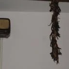 Kemencés Csárda Ópusztaszer - Belső