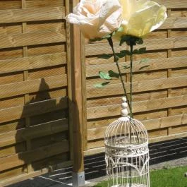 Nosztalgia Garden Étterem, Veszprém - Egyéb