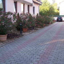 Diamant Apartman Eger - Medence/kert