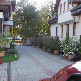 Diamant Apartman Eger - Medence/kert