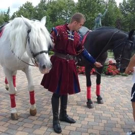 Hotel Kapitány Superior Wellness Sümeg - Környék