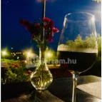 Zenit Hotel Balaton Vonyarcvashegy - Vendéglátás