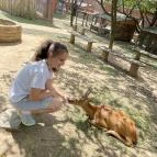 Mini Zoo Komló - Egyéb