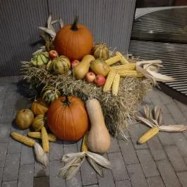 Thermal Hotel Balance , Lenti - Egyéb