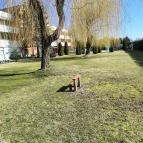 Art Hotel Zalakaros - Medence/kert