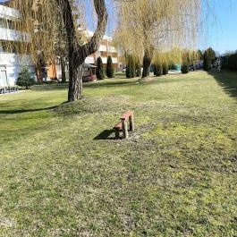 Art Hotel Zalakaros - Medence/kert