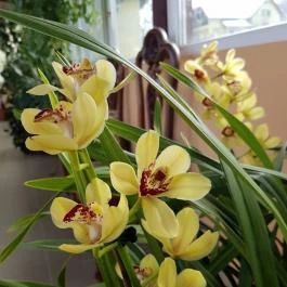 Fried Kastély Hotel Simontornya - Egyéb