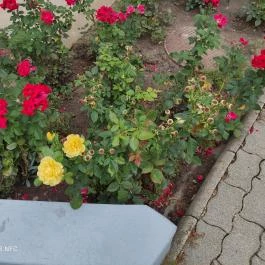 Fried Kastély Hotel Simontornya - Egyéb